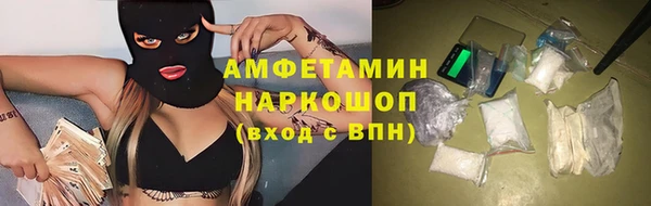 молекула духа Краснослободск