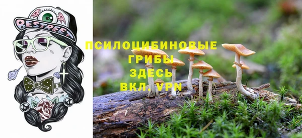 спиды Костерёво