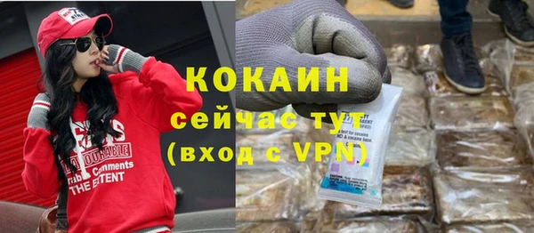 молекула духа Краснослободск