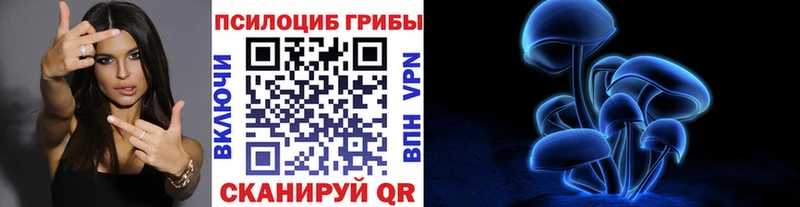 Галлюциногенные грибы Cubensis  Ачинск 