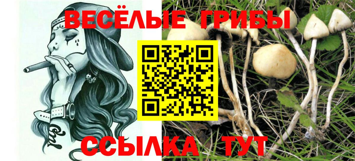 Псилоцибиновые грибы мухоморы  Вход с VPN  как найти закладки  Ачинск 