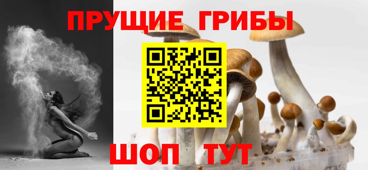 Галлюциногенные грибы Cubensis Ачинск